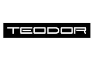 Teodor logo