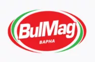 Булмаг лого